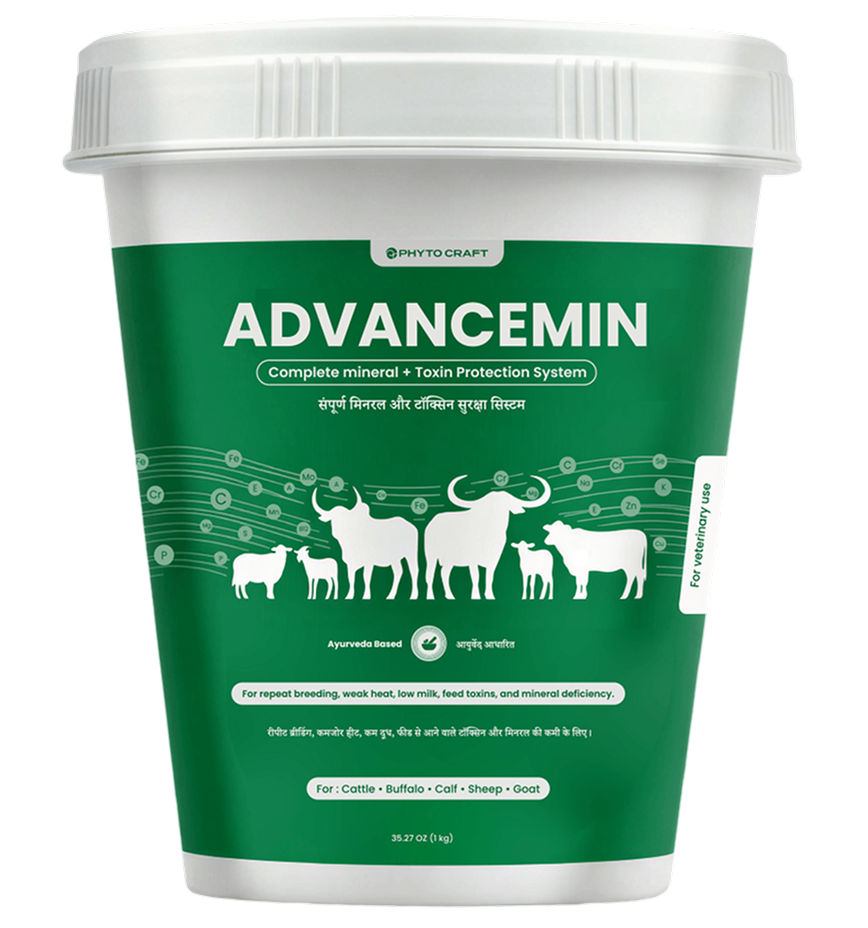 AdvanceMin