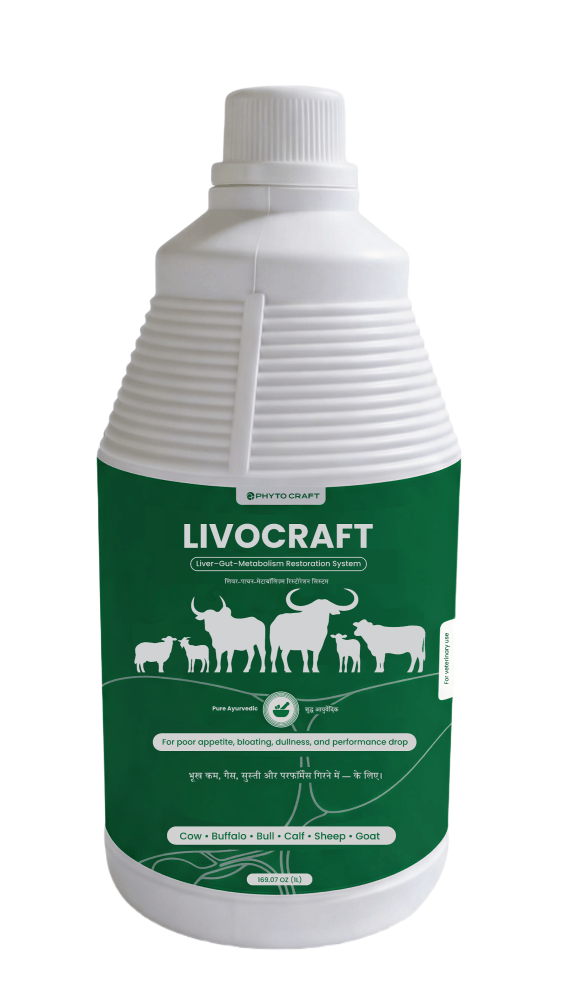 LivoCraft